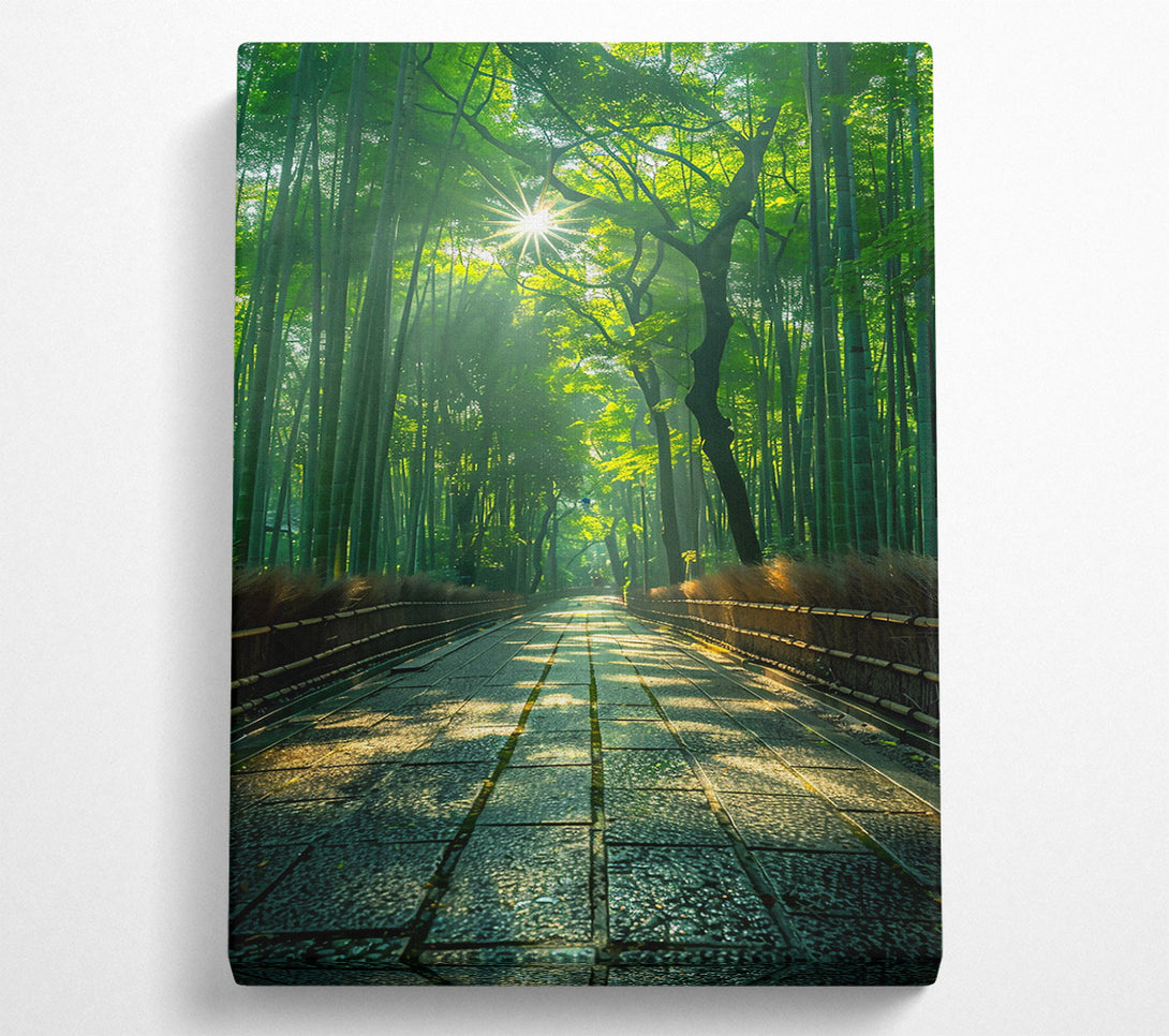  A Canvas Print of Green Path To Sunlight Canvas Print