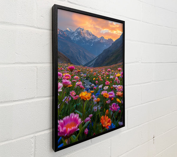 Pink Sunset Meadow