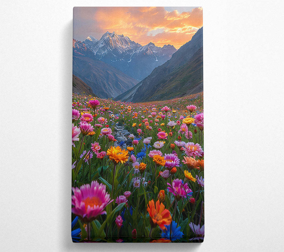  A Canvas Print of Pink Sunset Meadow Canvas Print