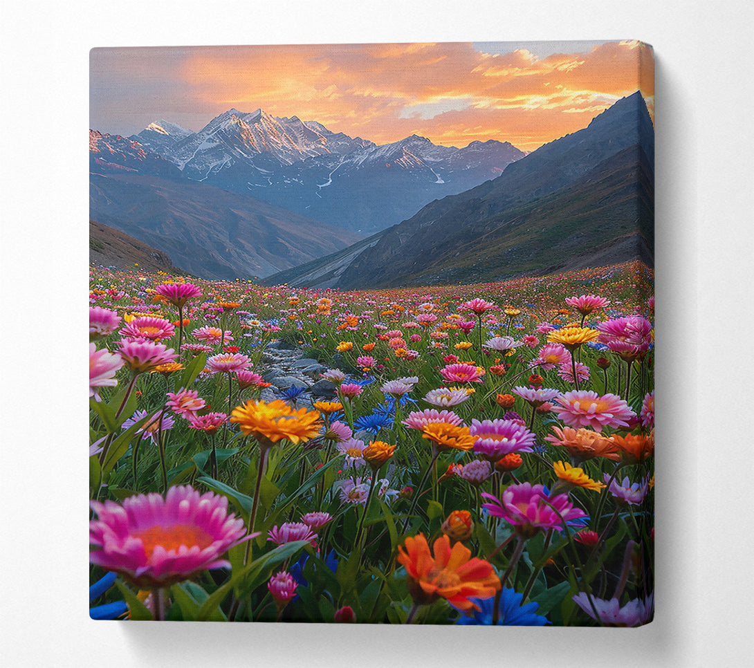  A Canvas Print of Pink Sunset Meadow Canvas Print