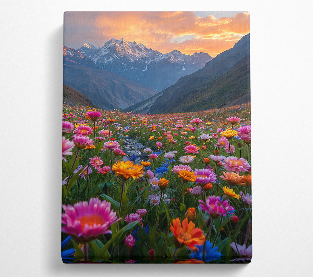  A Canvas Print of Pink Sunset Meadow Canvas Print