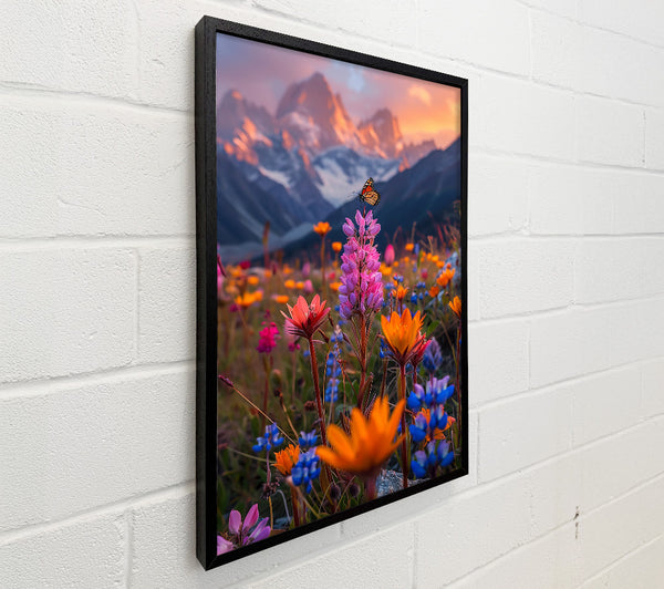 Orange Mountain Blooms