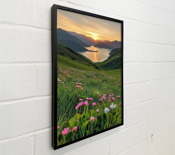 Golden Sunset Meadows