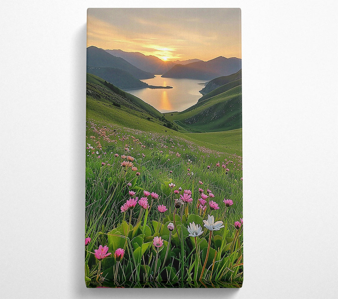  A Canvas Print of Golden Sunset Meadows Canvas Wall Art