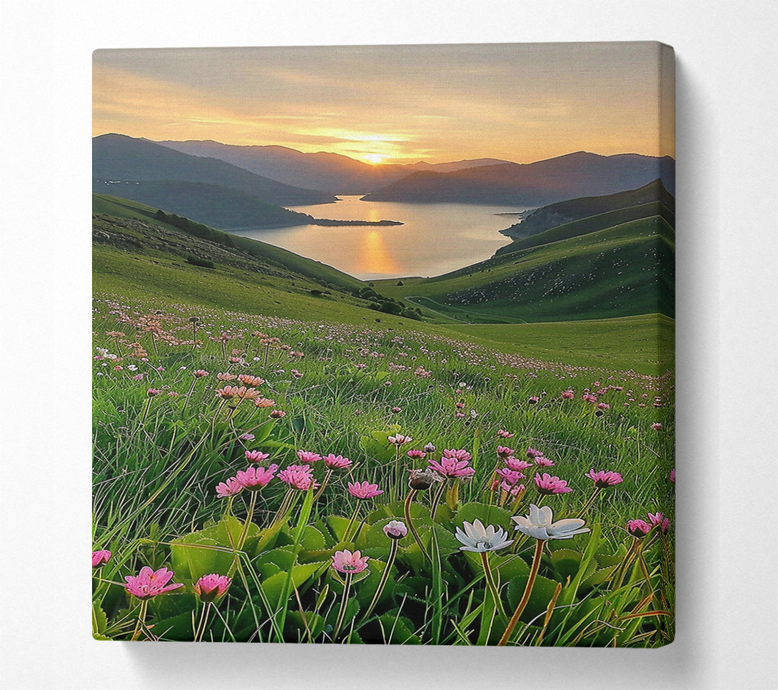  A Canvas Print of Golden Sunset Meadows Canvas Wall Art