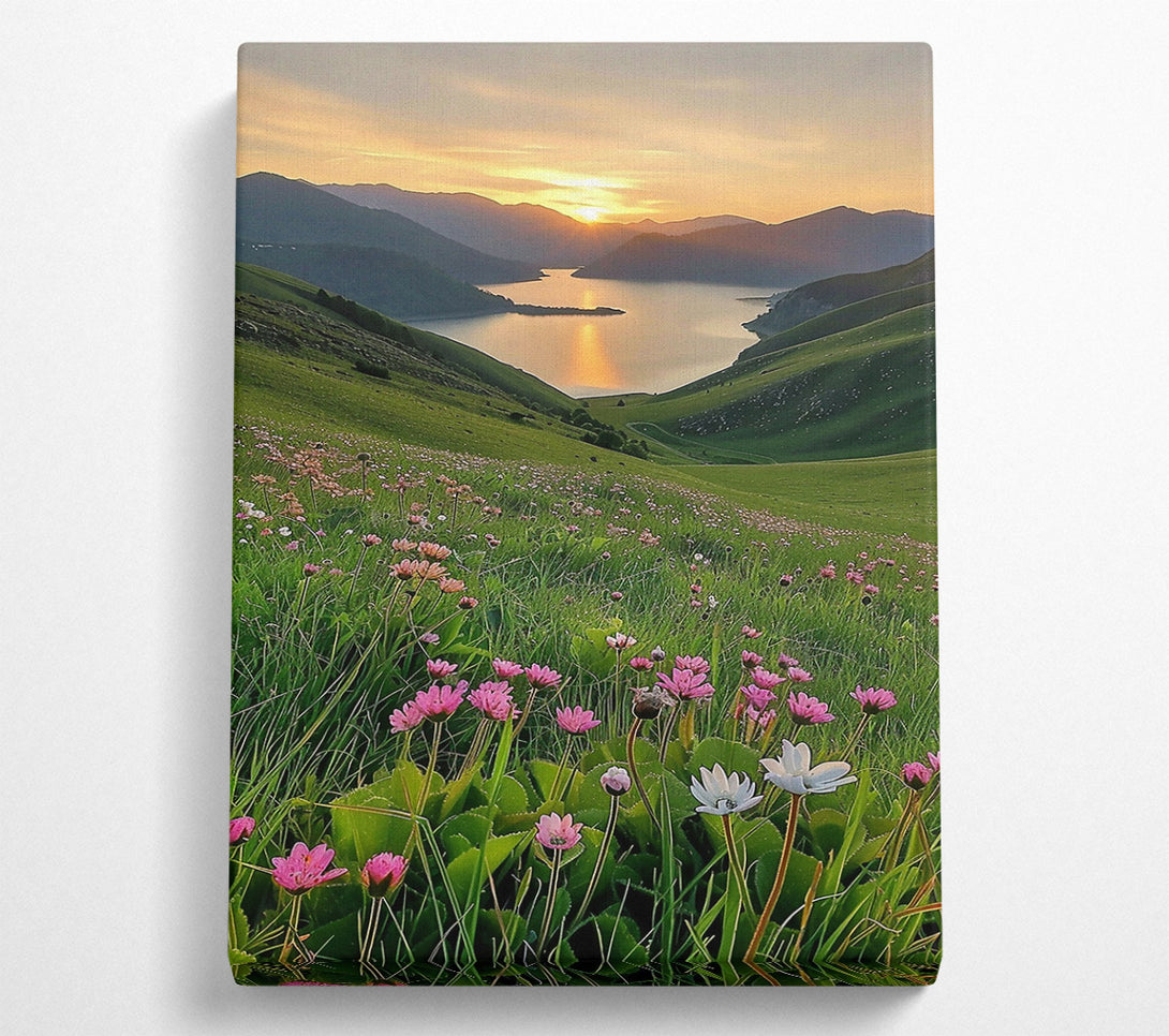  A Canvas Print of Golden Sunset Meadows Canvas Wall Art