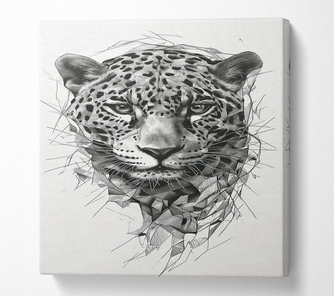  A Canvas Print of White Jaguar Gaze Canvas Wall Art