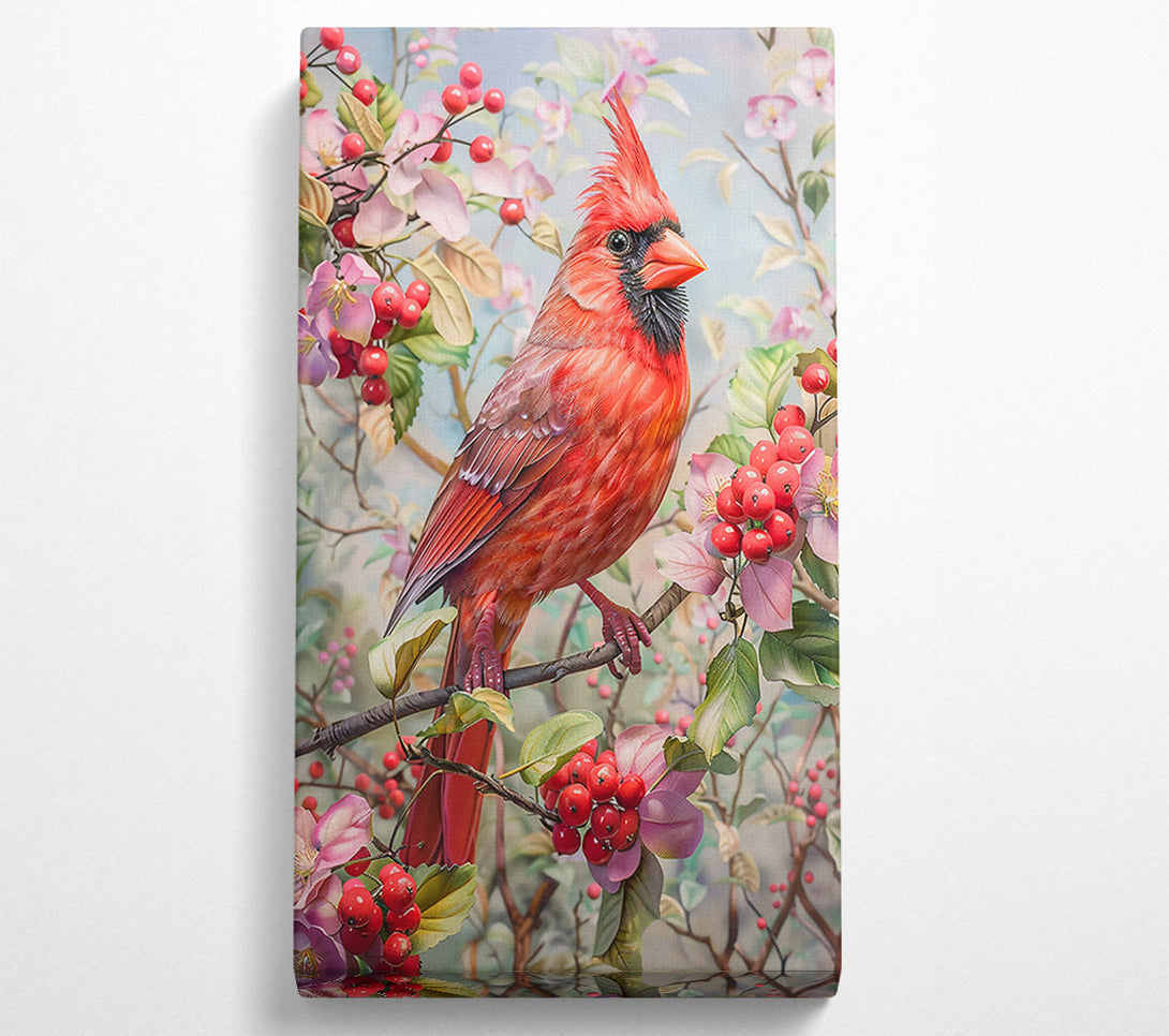  A Canvas Print of Crimson Cardinal'S Bloom Canvas Print
