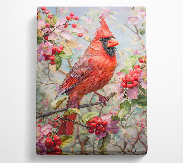  A Canvas Print of Crimson Cardinal'S Bloom Canvas Print