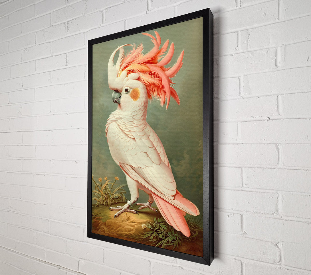  A Canvas Print of Pink Feathered Majesty Canvas Art