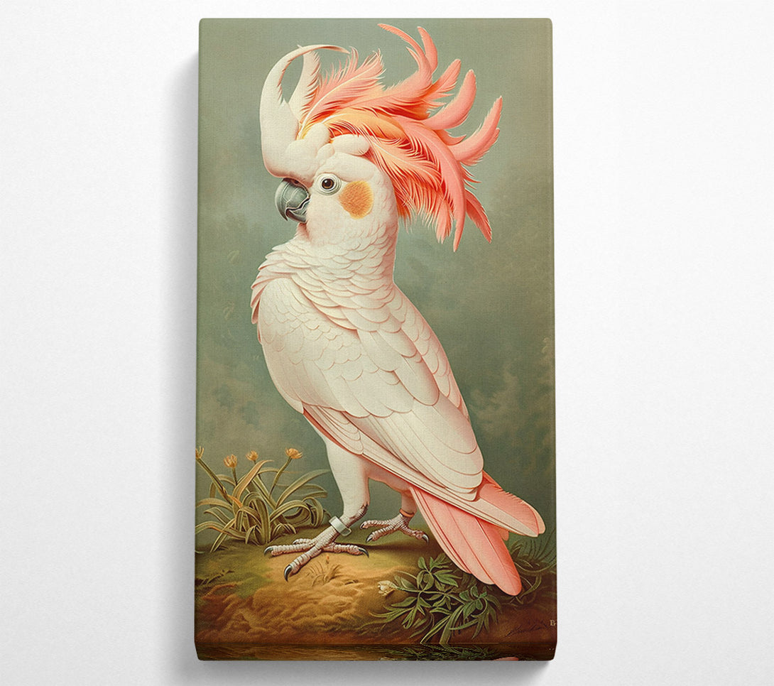  A Canvas Print of Pink Feathered Majesty Canvas Art