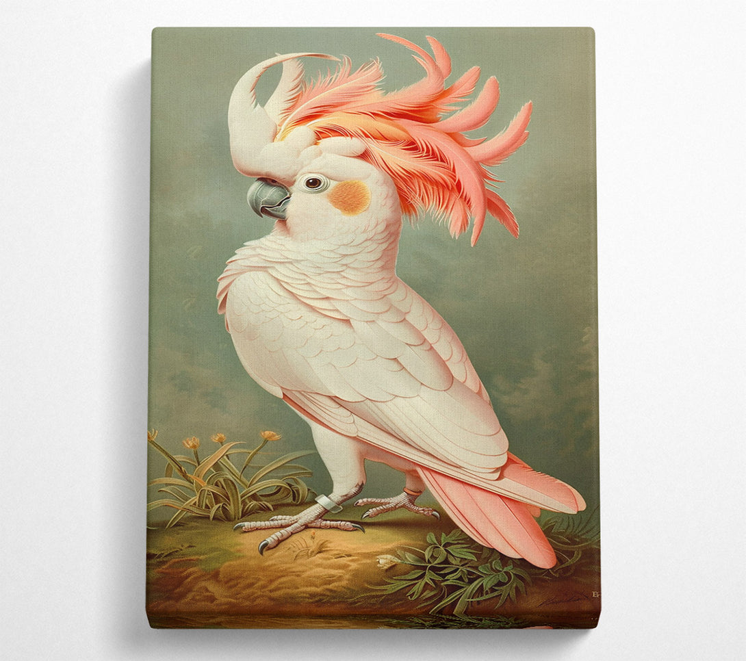  A Canvas Print of Pink Feathered Majesty Canvas Art