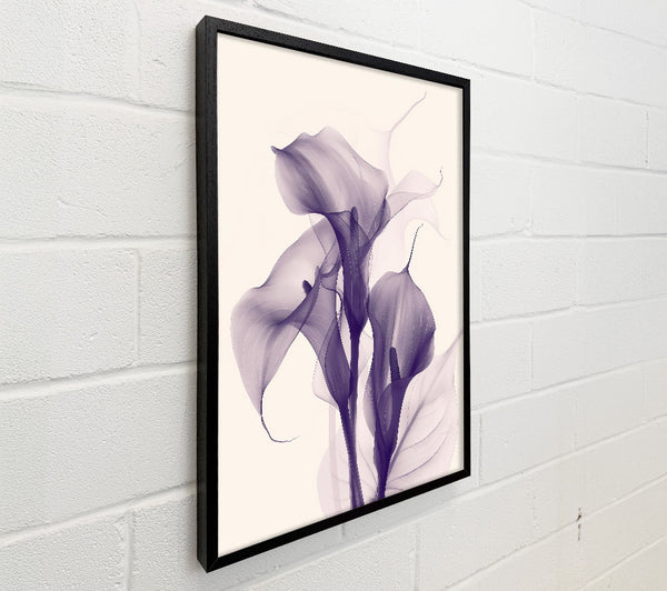 Lavender Ghostly Blooms