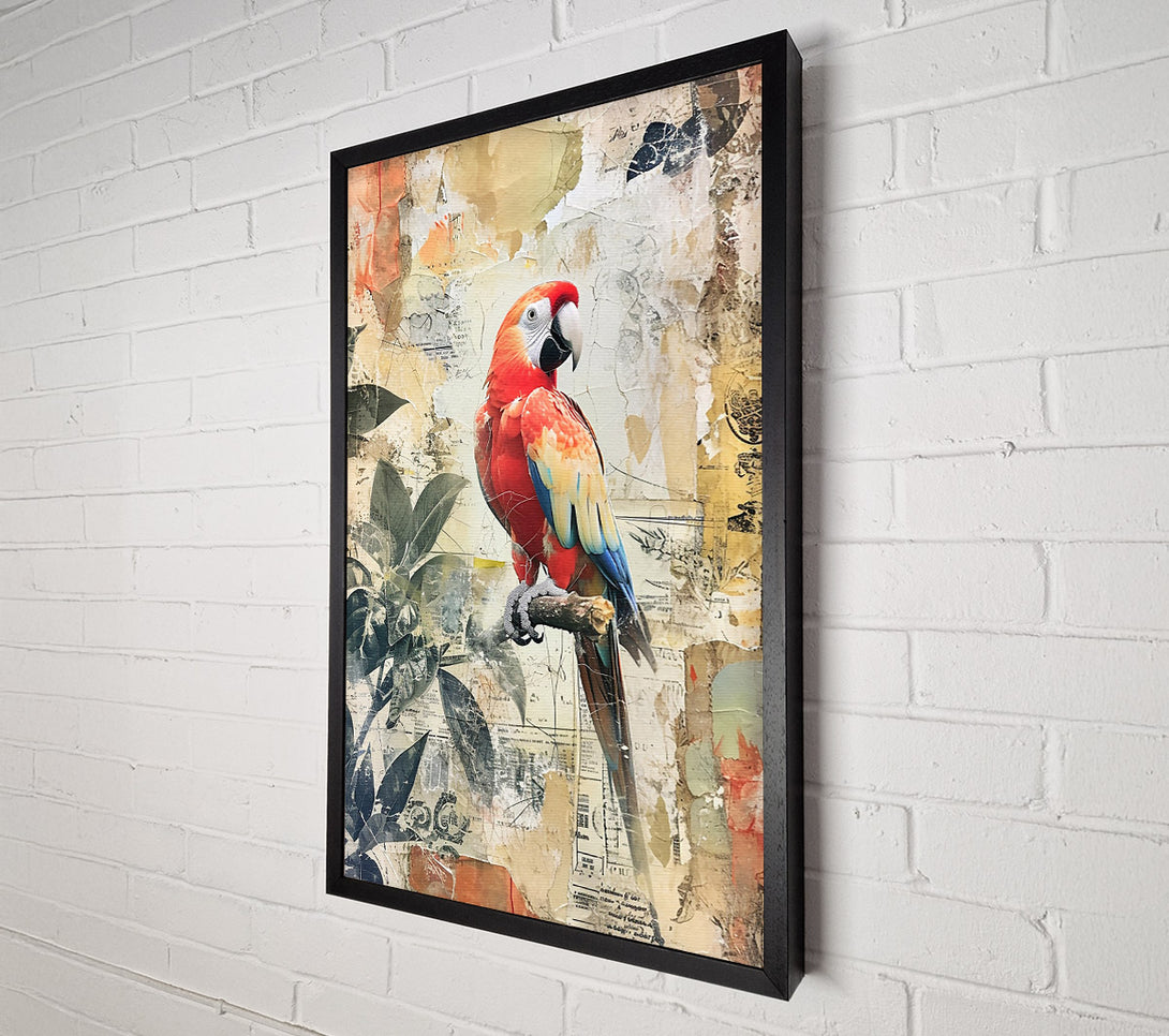  A Canvas Print of Red Parrot Collage Canvas Print