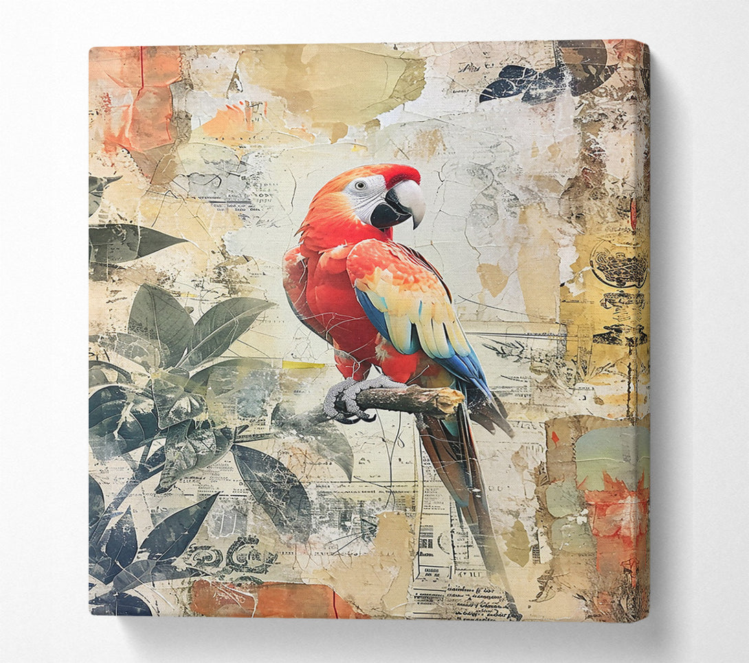  A Canvas Print of Red Parrot Collage Canvas Print