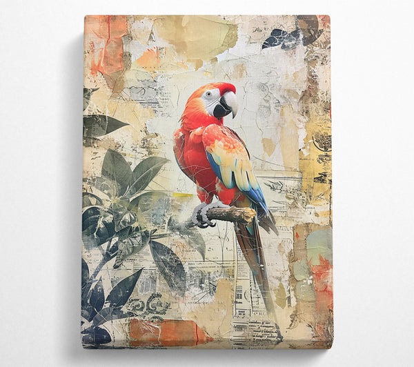  A Canvas Print of Red Parrot Collage Canvas Print