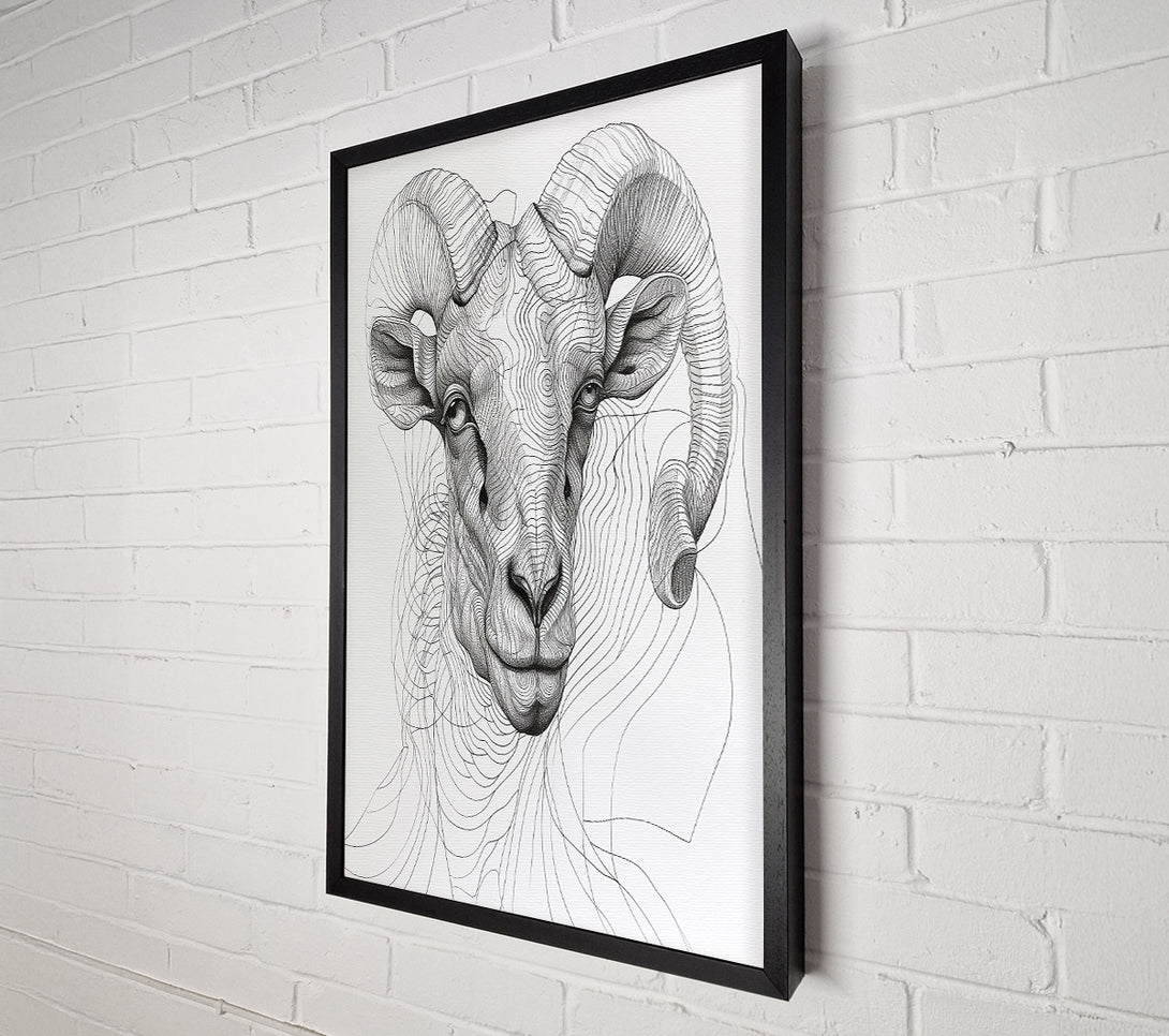  A Canvas Print of White Ram'S Gaze Canvas Art