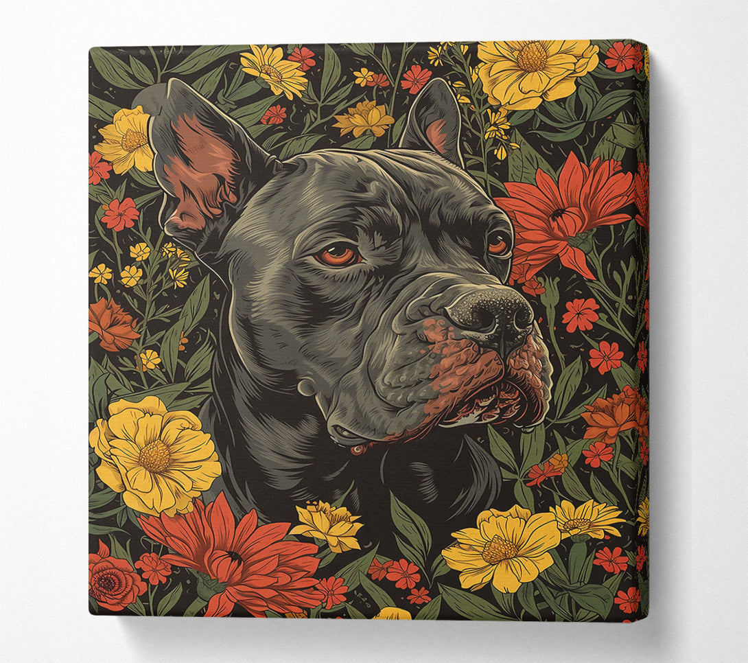  A Canvas Print of Black Dog Blooms Canvas Wall Art