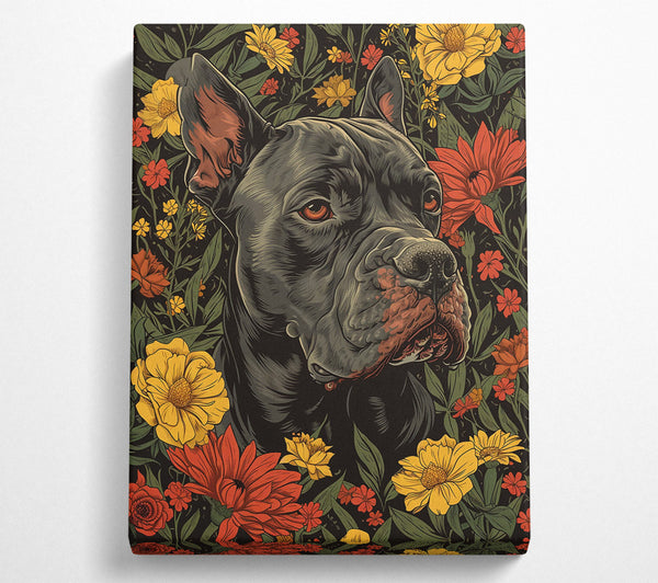  A Canvas Print of Black Dog Blooms Canvas Wall Art