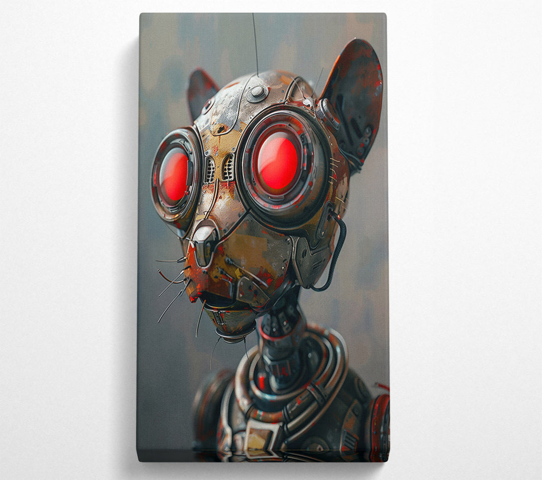  A Canvas Print of Red-Eyed Rusty Feline Canvas Print