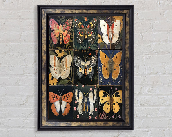 Grid Of Butterflies Framed Print