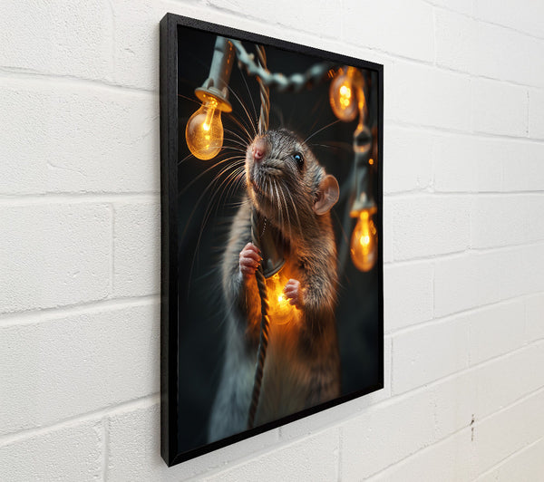 Golden Light Rat