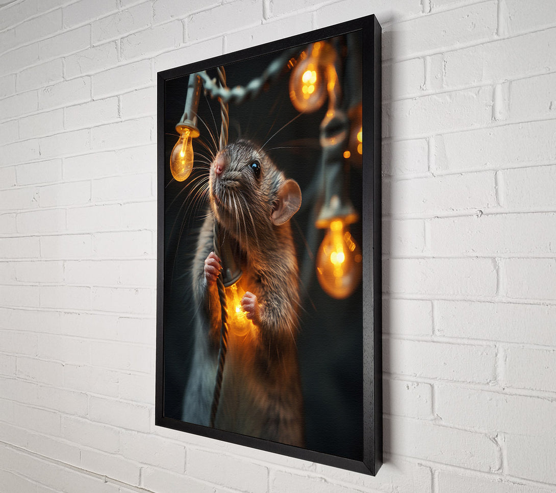  A Canvas Print of Golden Light Rat Canvas Print