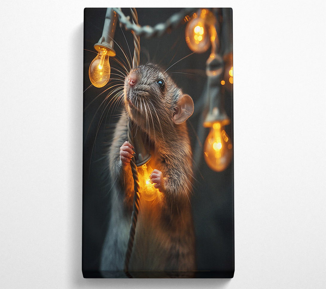  A Canvas Print of Golden Light Rat Canvas Print
