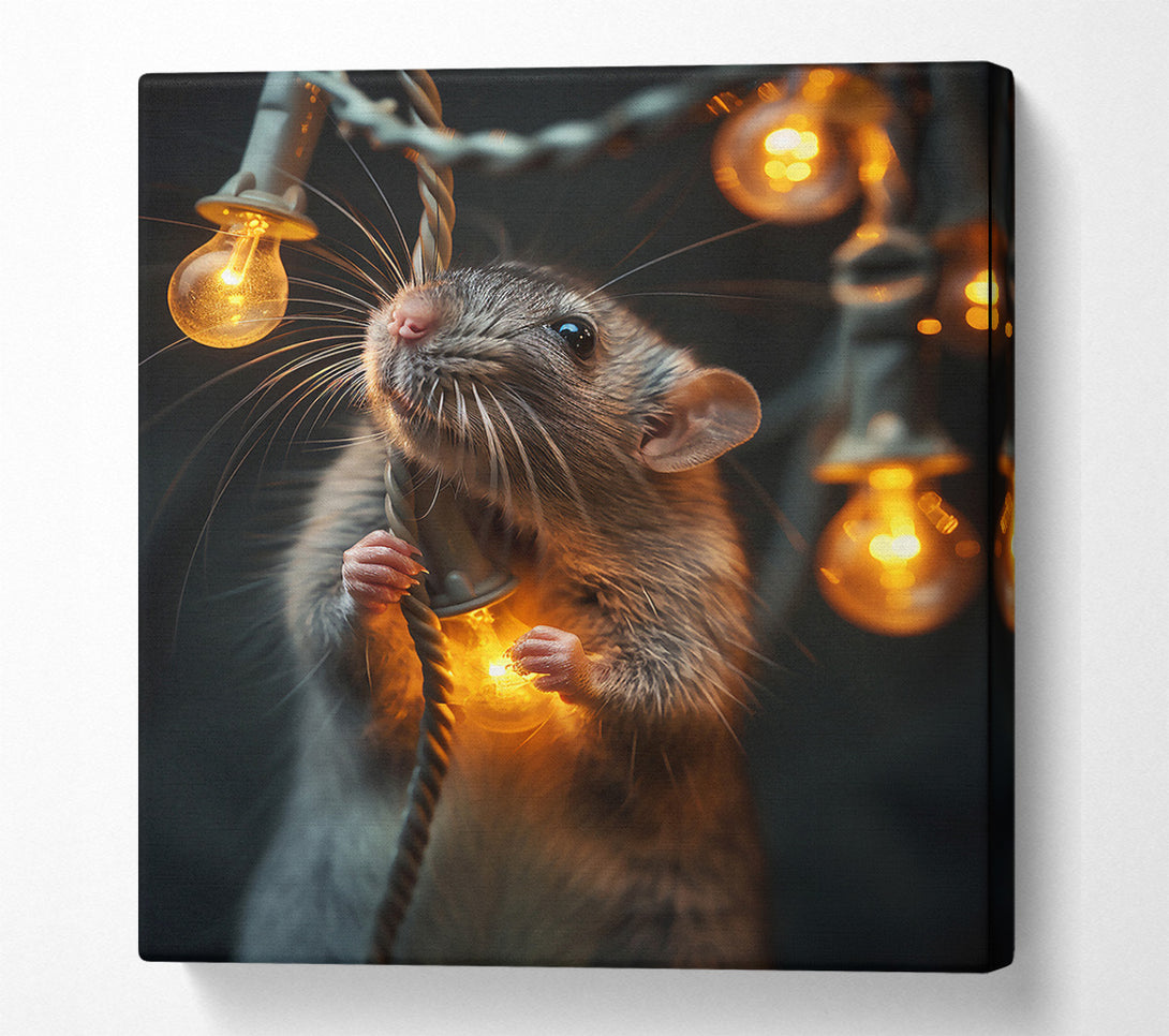  A Canvas Print of Golden Light Rat Canvas Print