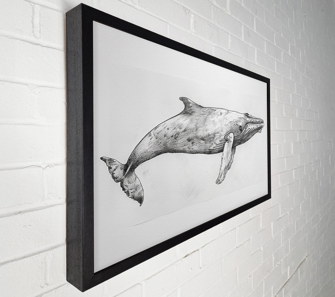  A Canvas Print of Gray Whale In Motion Canvas Art