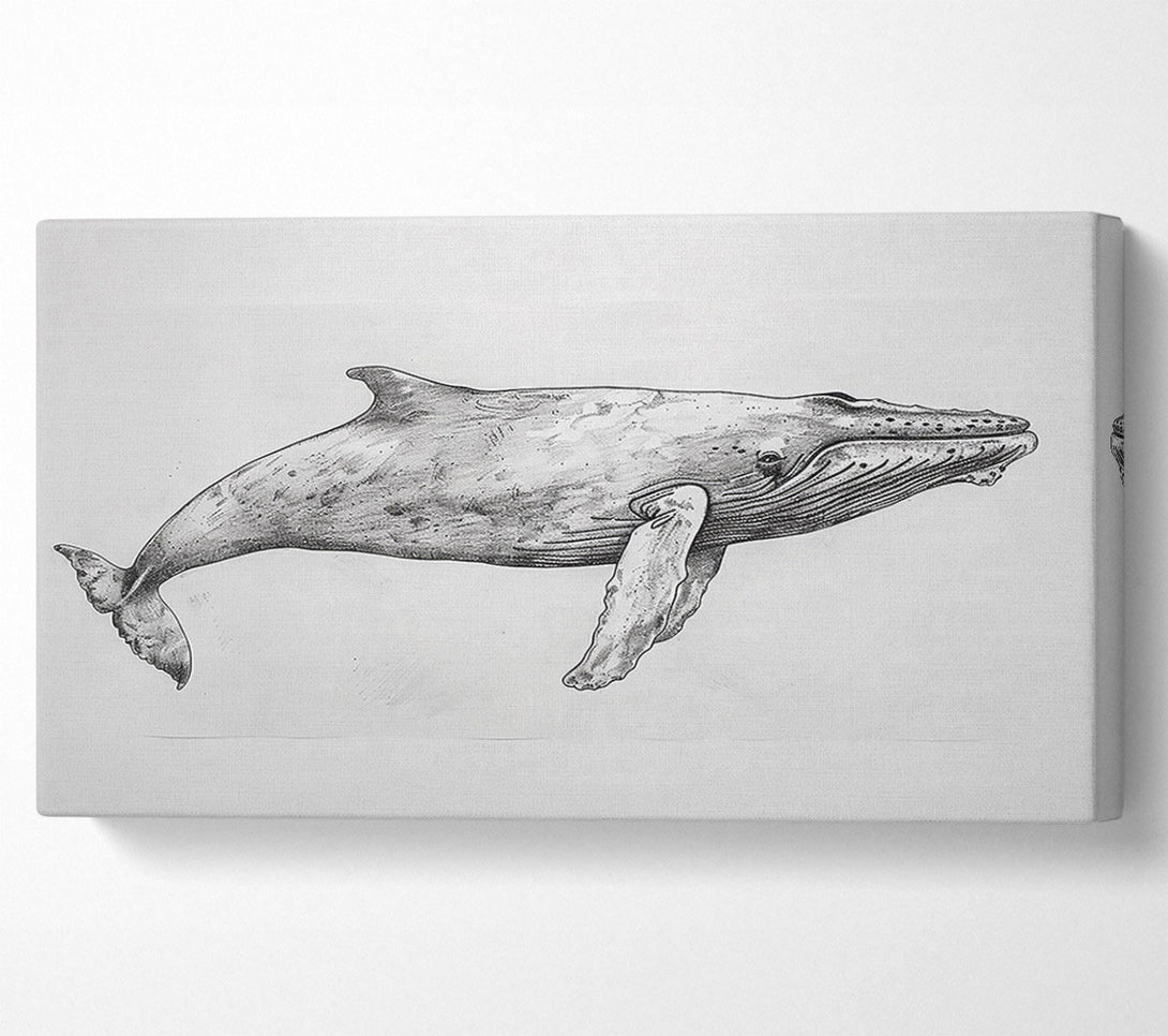  A Canvas Print of Gray Whale In Motion Canvas Art