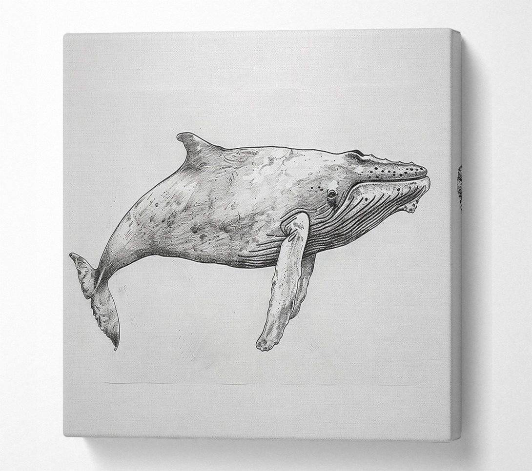 A Canvas Print of Gray Whale In Motion Canvas Art