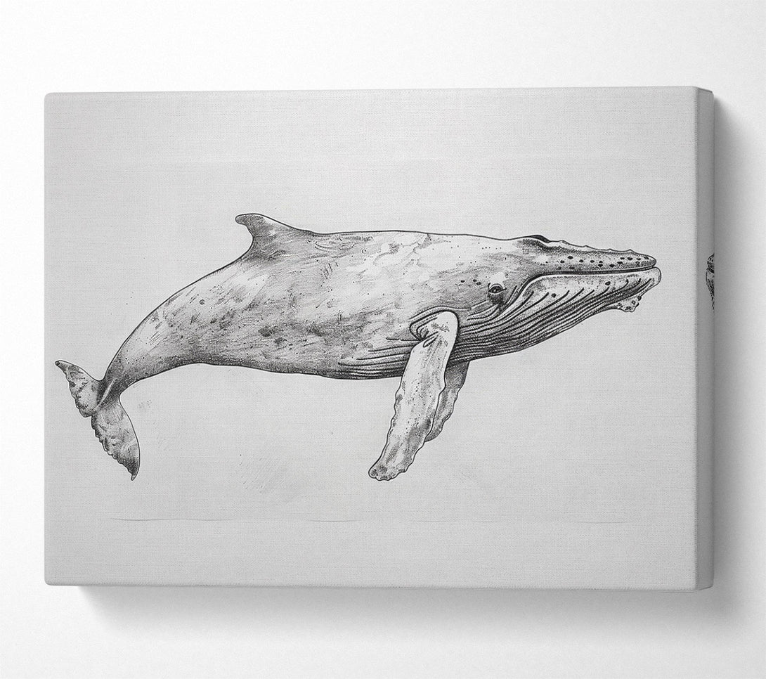  A Canvas Print of Gray Whale In Motion Canvas Art