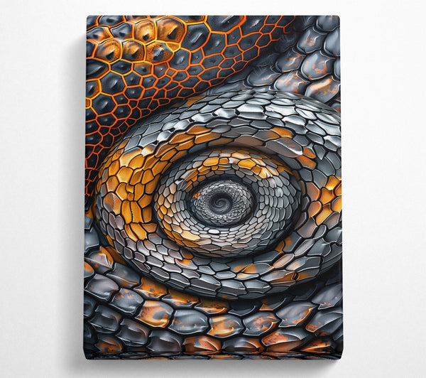  A Canvas Print of Orange Scaled Spiral Canvas Wall Art