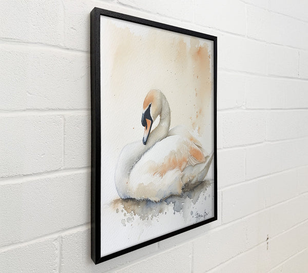 Peachy Swan Slumber