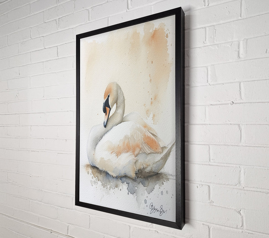  A Canvas Print of Peachy Swan Slumber Canvas Wall Art