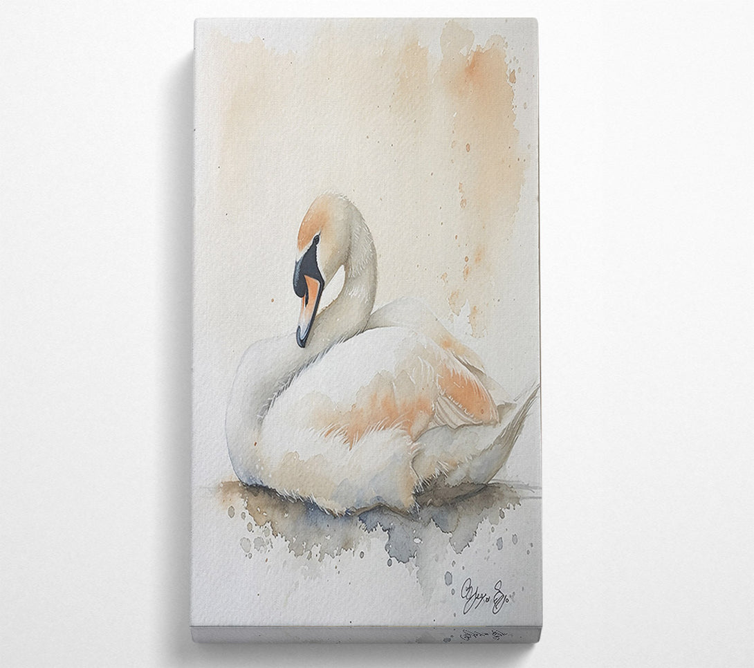  A Canvas Print of Peachy Swan Slumber Canvas Wall Art