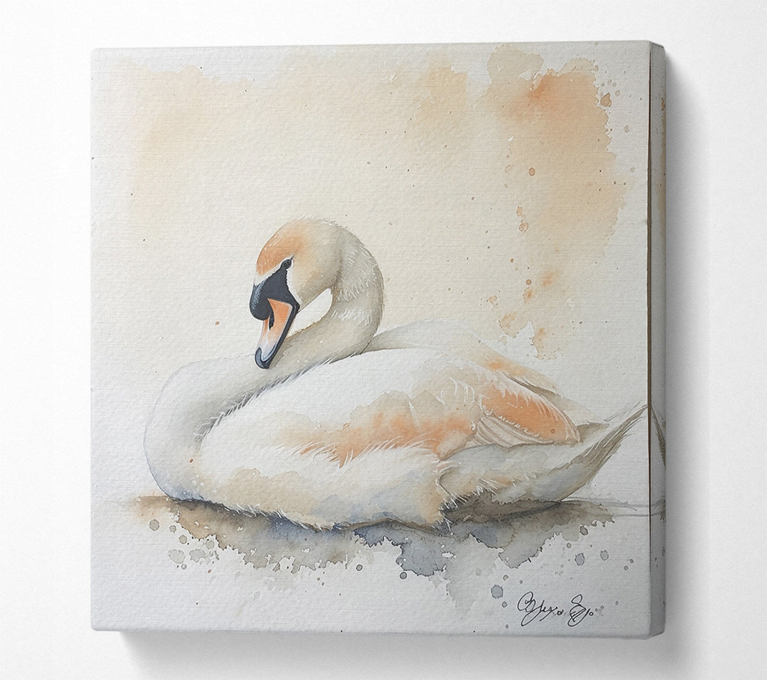  A Canvas Print of Peachy Swan Slumber Canvas Wall Art