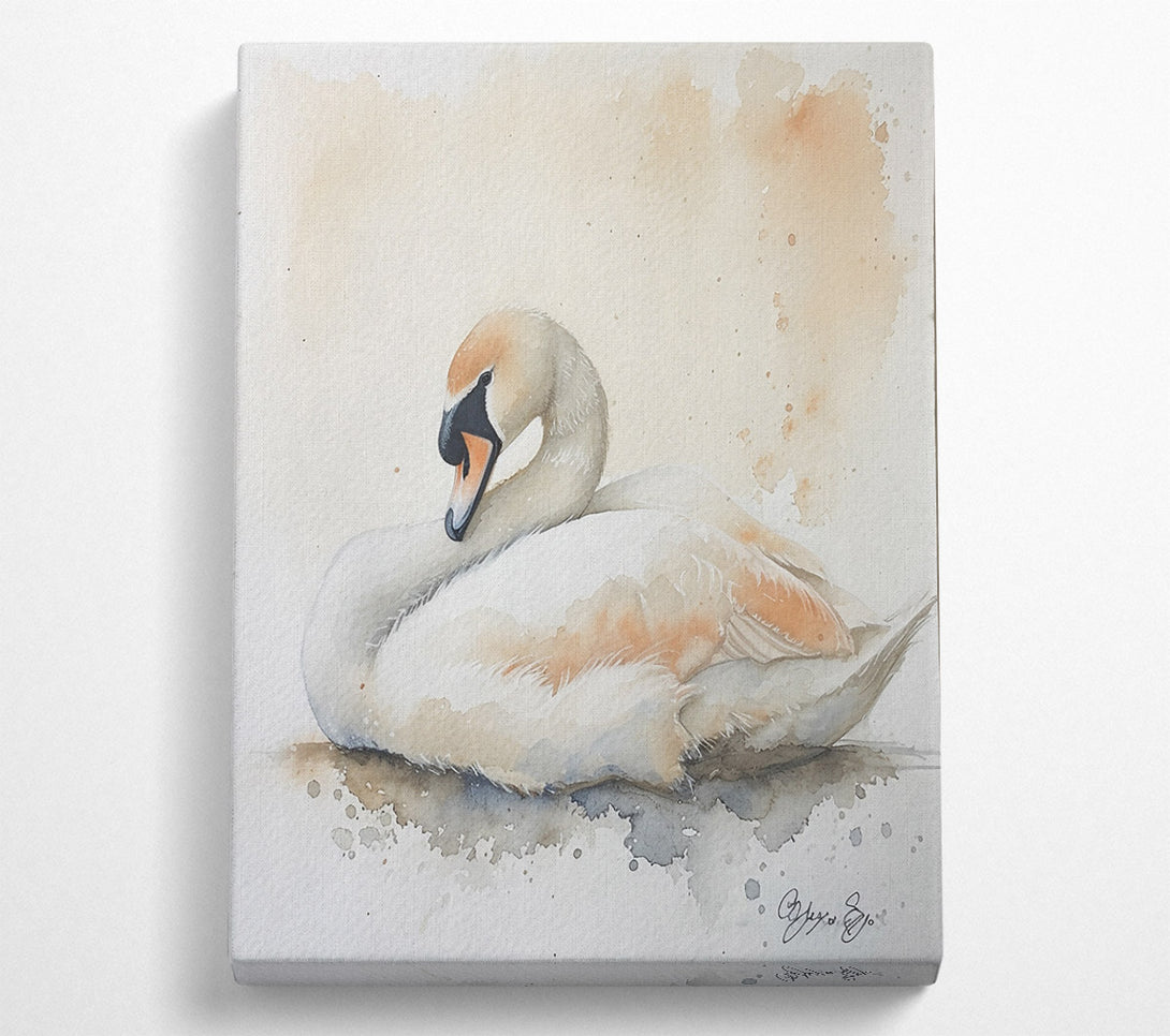  A Canvas Print of Peachy Swan Slumber Canvas Wall Art