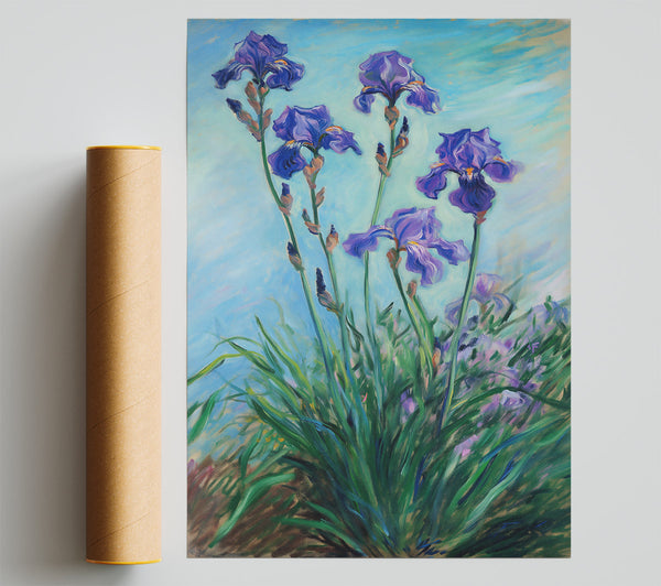 Purple Irises In Bloom. Print