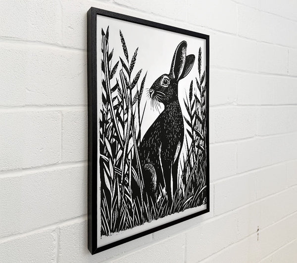 Black Hare In Grass