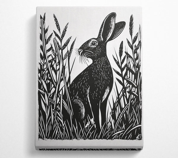 A Canvas Print of Black Hare In Grass Canvas Print