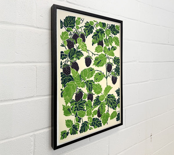 Blackberry Green Vines