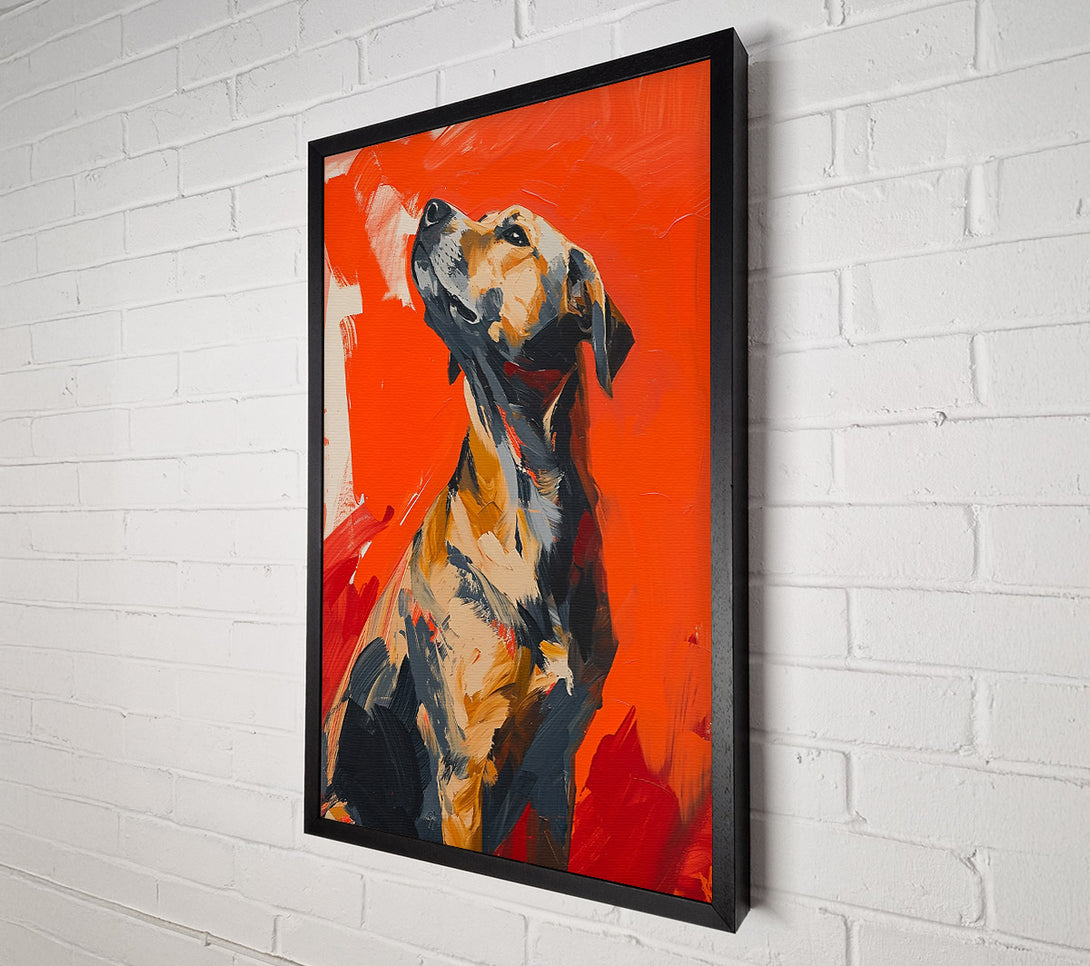 A Canvas Print of Orange Dog Gaze Canvas Wall Art