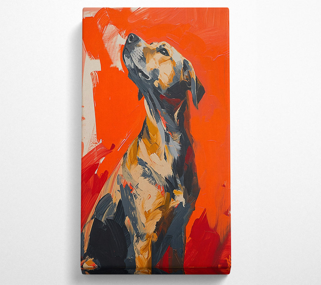  A Canvas Print of Orange Dog Gaze Canvas Wall Art