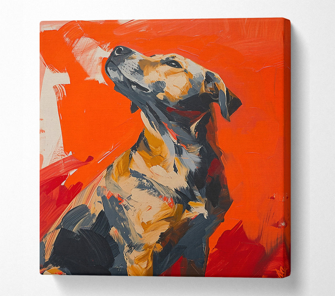  A Canvas Print of Orange Dog Gaze Canvas Wall Art