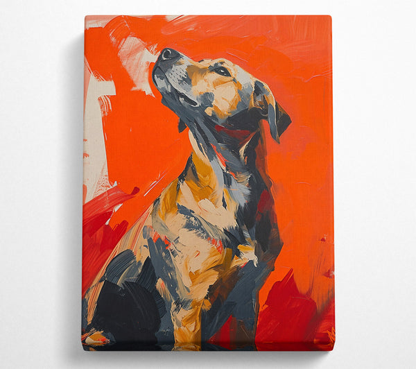  A Canvas Print of Orange Dog Gaze Canvas Wall Art