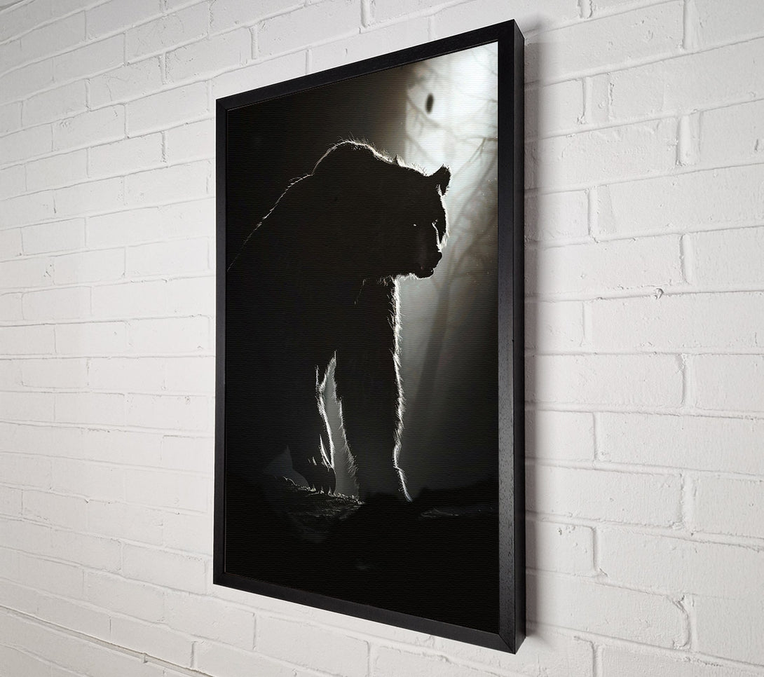  A Canvas Print of Black Bear'S Shadow Canvas Art