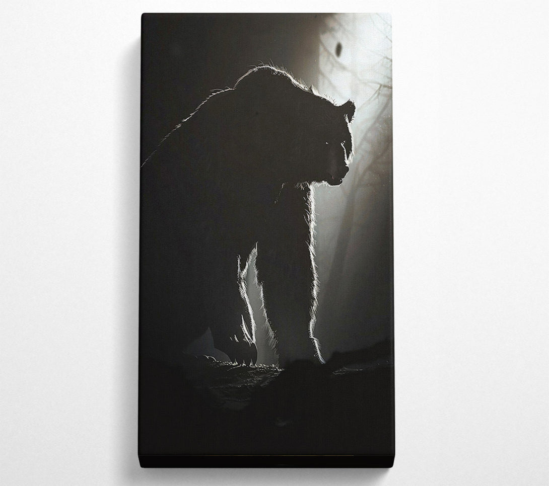  A Canvas Print of Black Bear'S Shadow Canvas Art