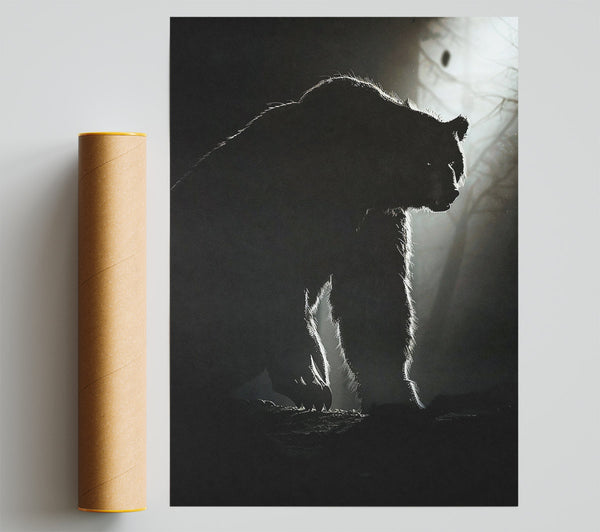 Black Bear'S Shadow Giclee Print